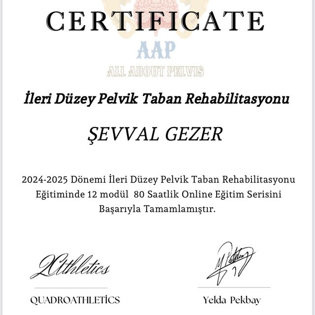 Resmi büyüt: certificate 2