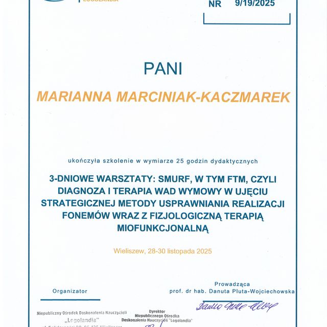 Powiększ obraz: certificate 2
