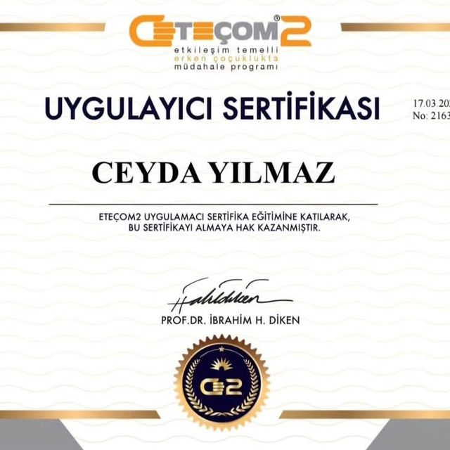 Resmi büyüt: certificate 2