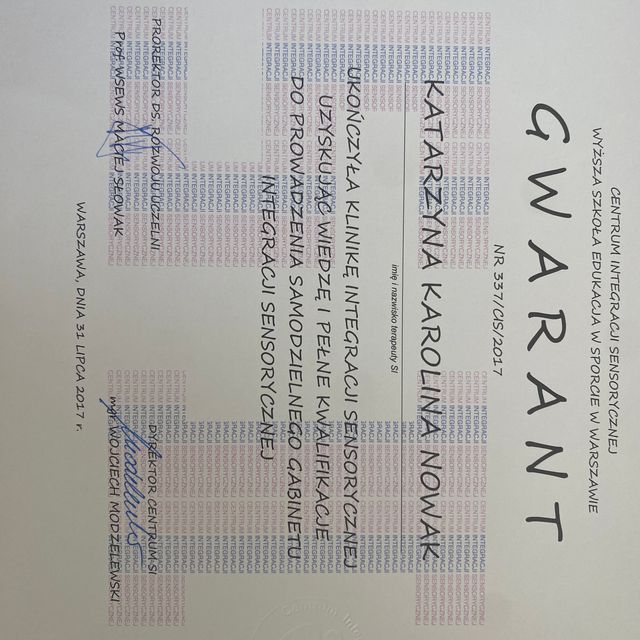 Powiększ obraz: certificate 2