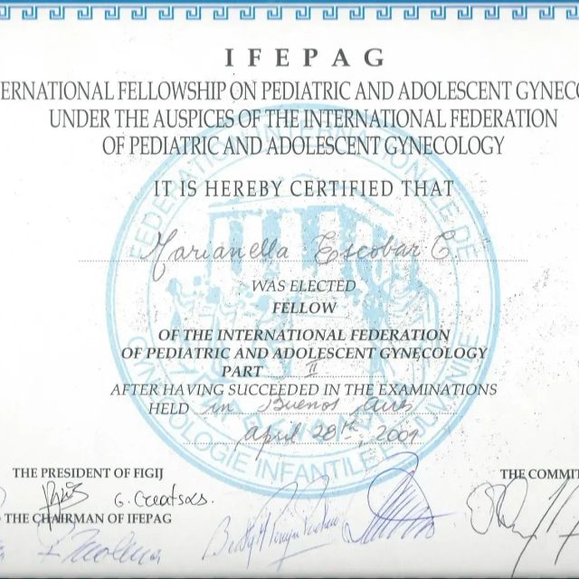 Acercar imagen: certificate 2