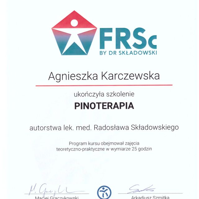 Powiększ obraz: certificate 11