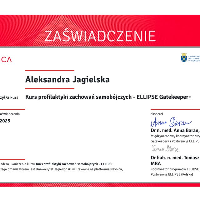 Powiększ obraz: certificate 1