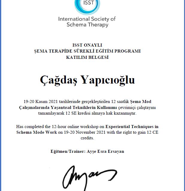 Resmi büyüt: certificate 9