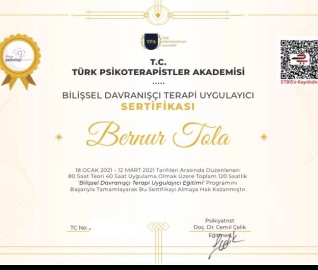 Resmi büyüt: certificate 13