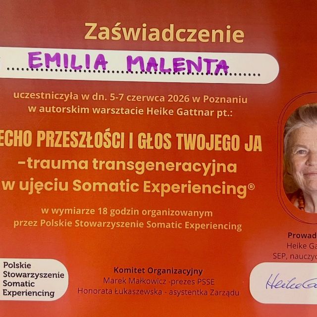 Powiększ obraz: certificate 3