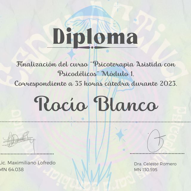 Acercar imagen: certificate 2