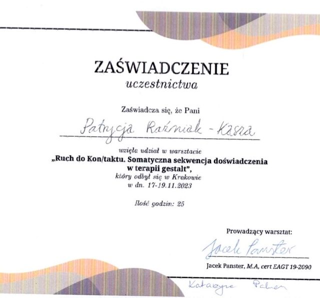 Powiększ obraz: certificate 1