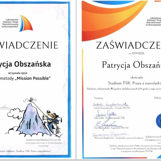 Powiększ obraz: certificate 2