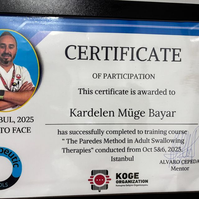 Resmi büyüt: certificate 6