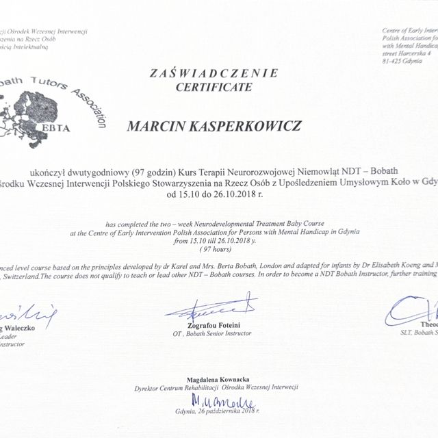 Powiększ obraz: certificate 2