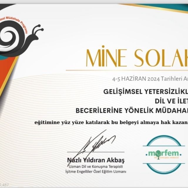 Resmi büyüt: certificate 14