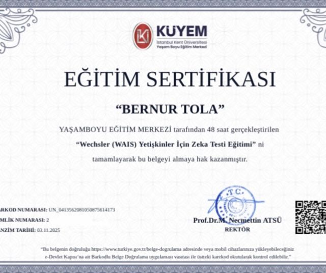 Resmi büyüt: certificate 16