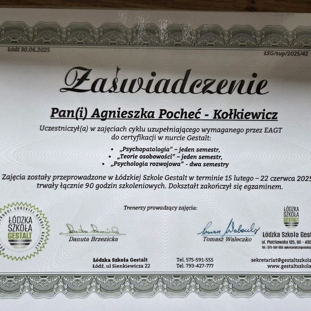 Powiększ obraz: certificate 1