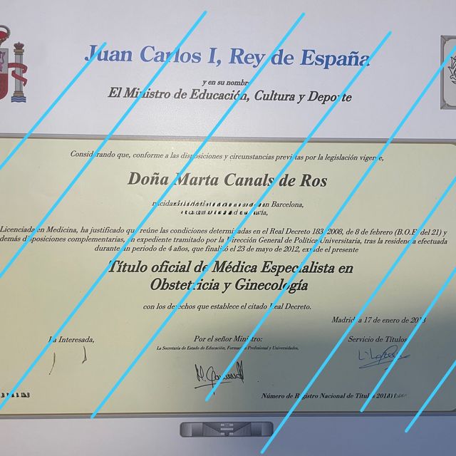 Acercar imagen: certificate 2