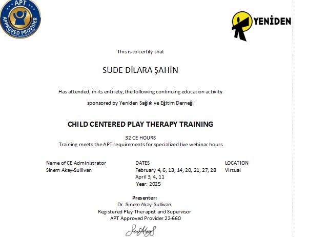 Resmi büyüt: certificate 2