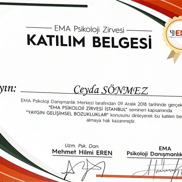 Resmi büyüt: certificate 14