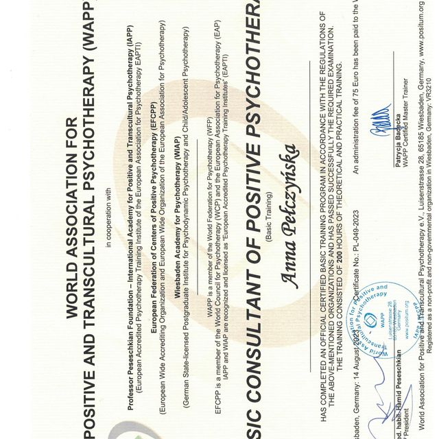 Powiększ obraz: certificate 2
