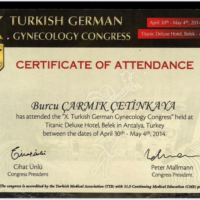 Resmi büyüt: certificate 11