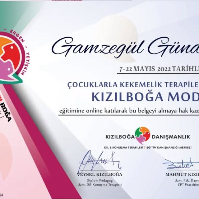 Resmi büyüt: certificate 5