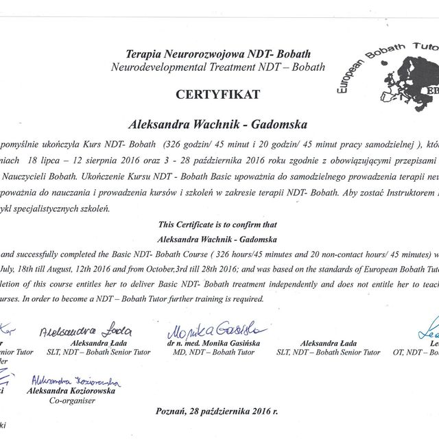 Powiększ obraz: certificate 1