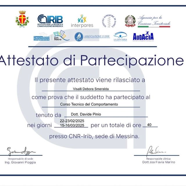 Ingrandire l'immagine: certificate 1