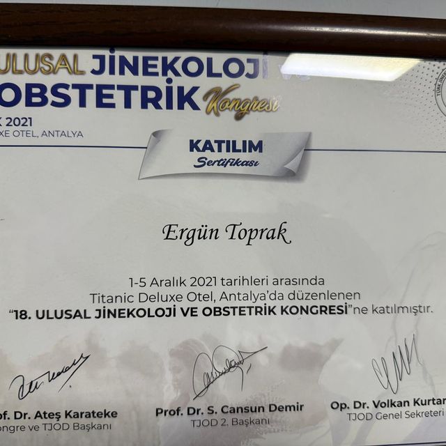 Resmi büyüt: certificate 17