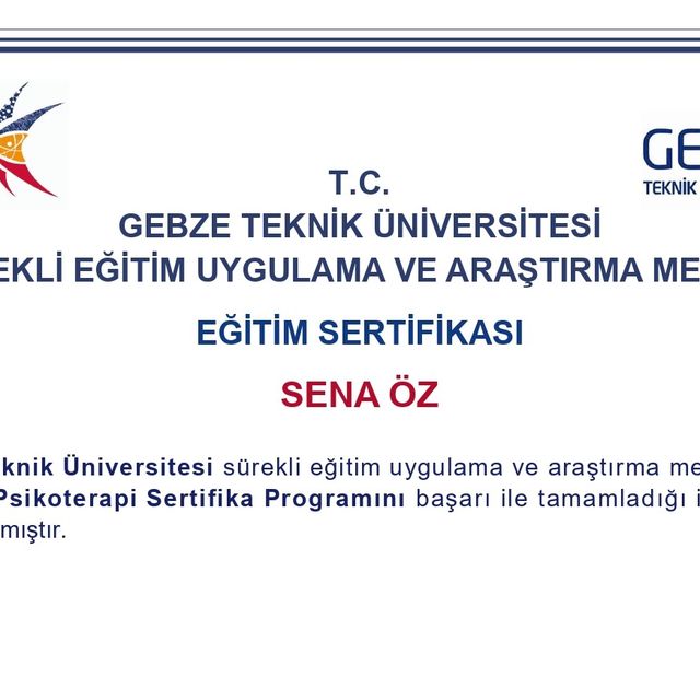 Resmi büyüt: certificate 3