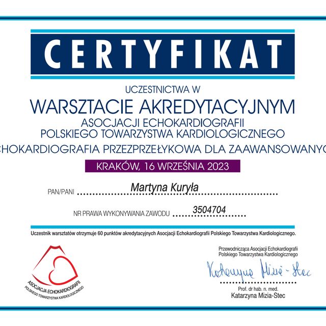 Powiększ obraz: certificate 1