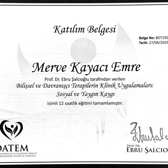 Resmi büyüt: certificate 9