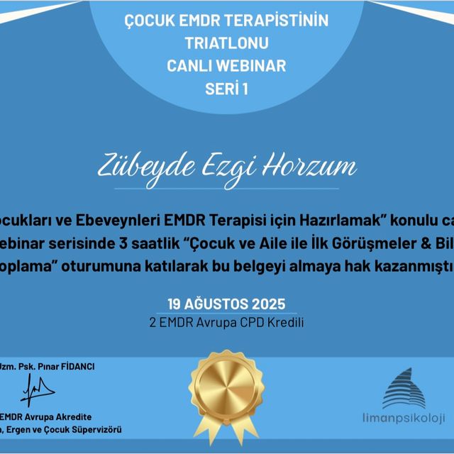 Resmi büyüt: certificate 2