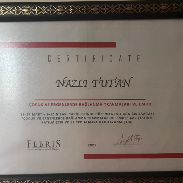 Resmi büyüt: certificate 9