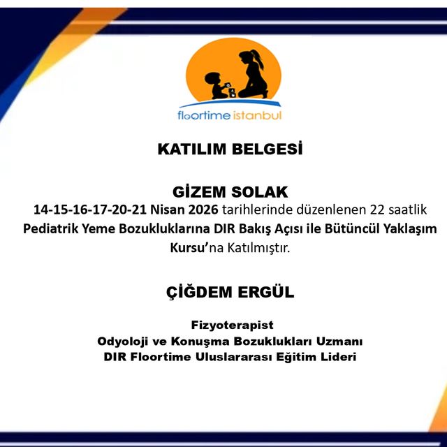 Resmi büyüt: certificate 3
