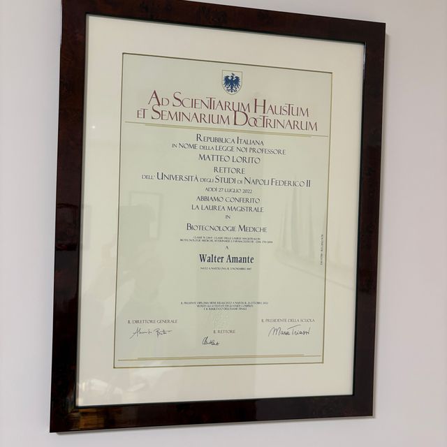 Ingrandire l'immagine: certificate 2