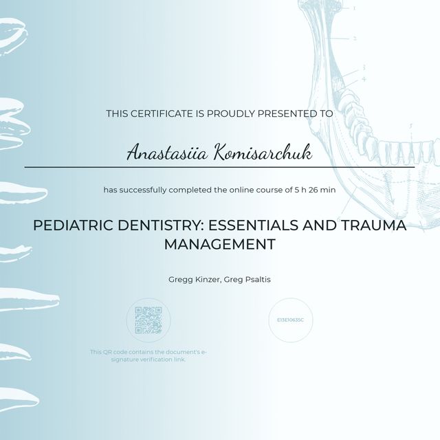 Powiększ obraz: certificate 2
