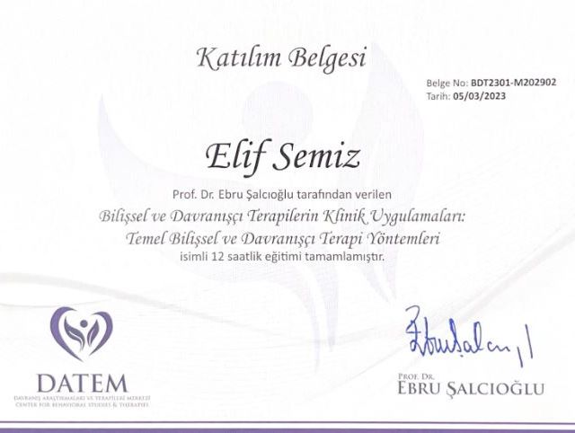 Resmi büyüt: certificate 3