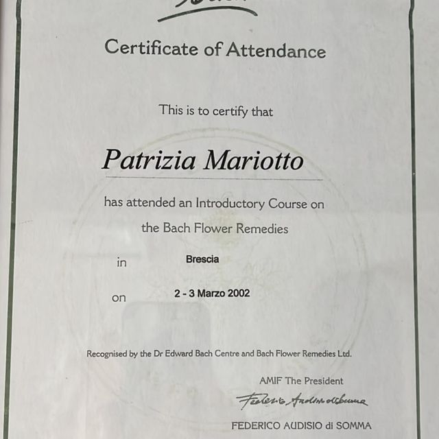 Ingrandire l'immagine: certificate 1