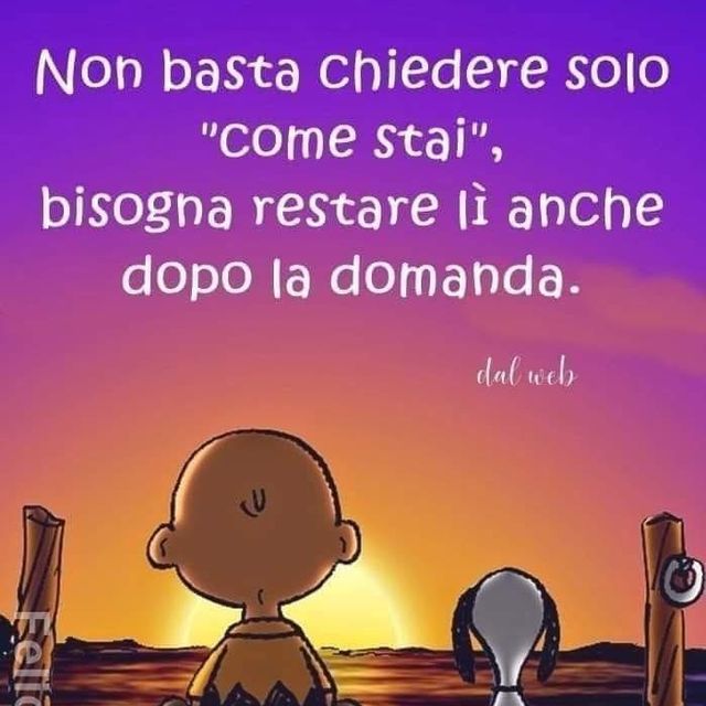 Ingrandire l'immagine: certificate 72