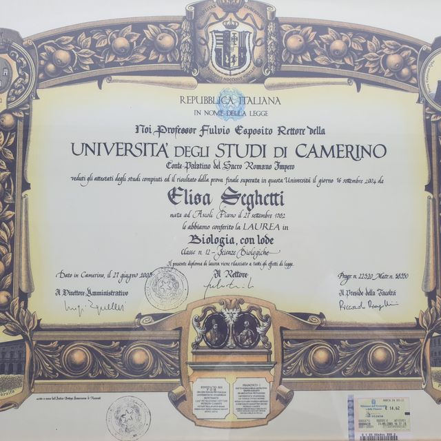 Ingrandire l'immagine: certificate 1