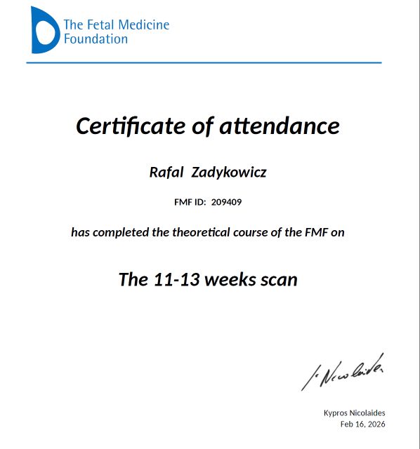 Powiększ obraz: certificate 8