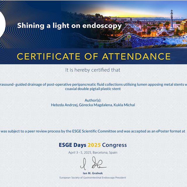 Powiększ obraz: certificate 2