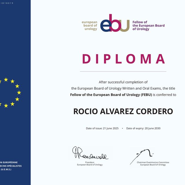 Acercar imagen: certificate 2