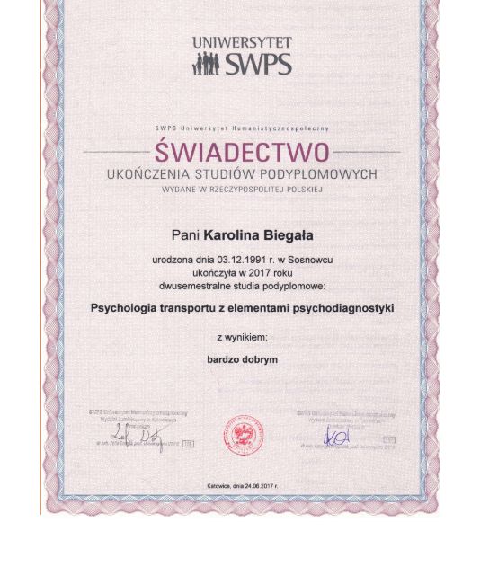 Powiększ obraz: certificate 1