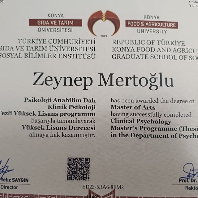 Resmi büyüt: certificate 2