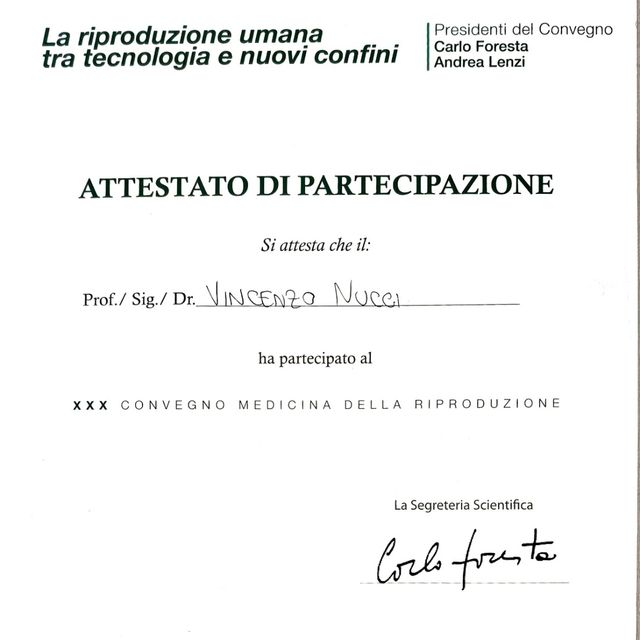 Ingrandire l'immagine: certificate 94