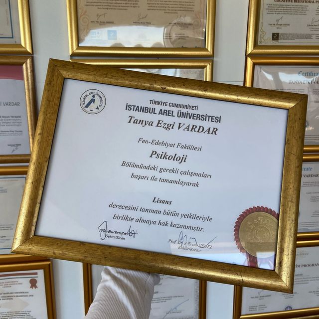 Resmi büyüt: certificate 13