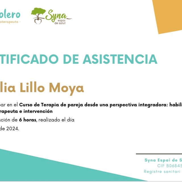 Acercar imagen: certificate 17
