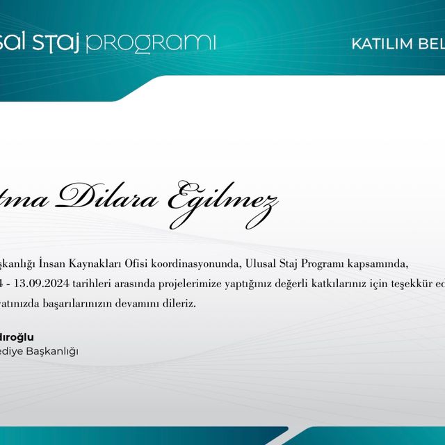 Resmi büyüt: certificate 9