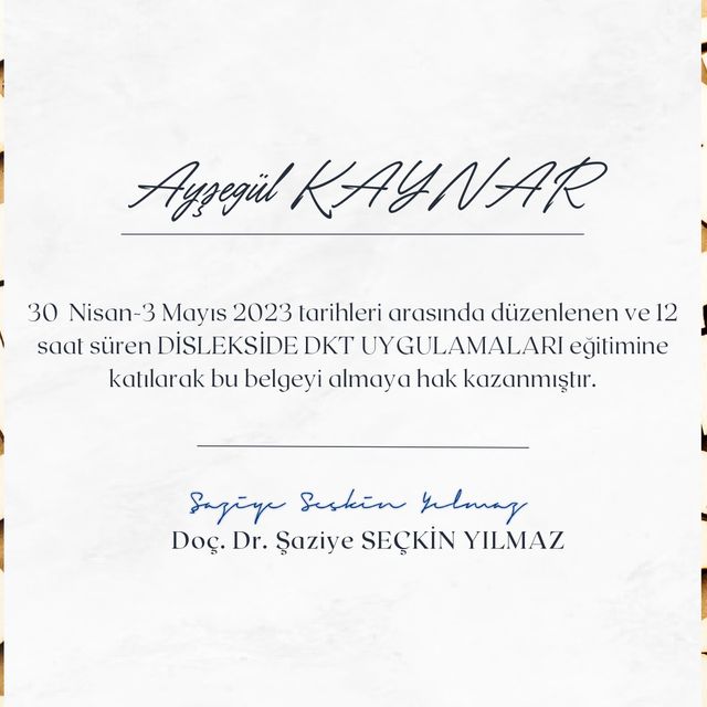 Resmi büyüt: certificate 1