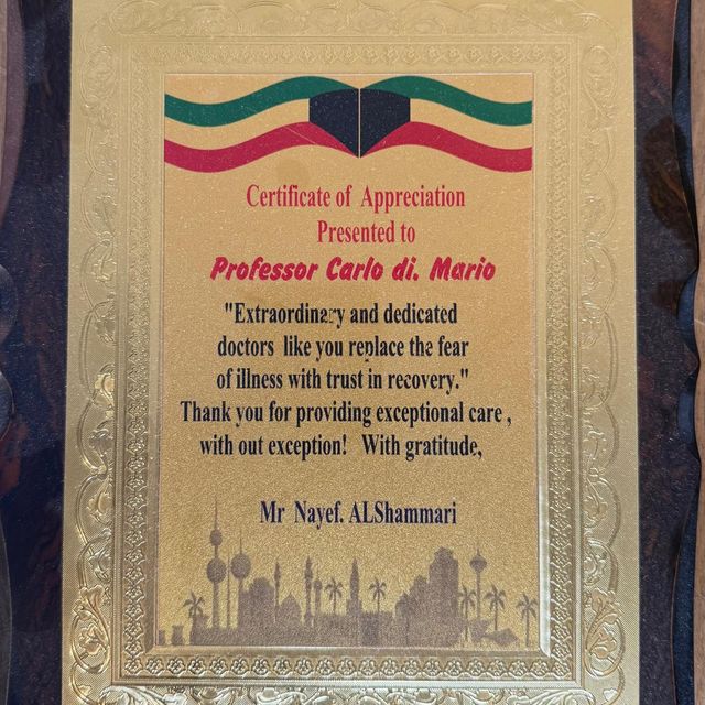 Ingrandire l'immagine: certificate 3